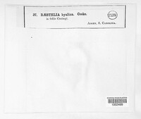 Image Associated With the Occurence